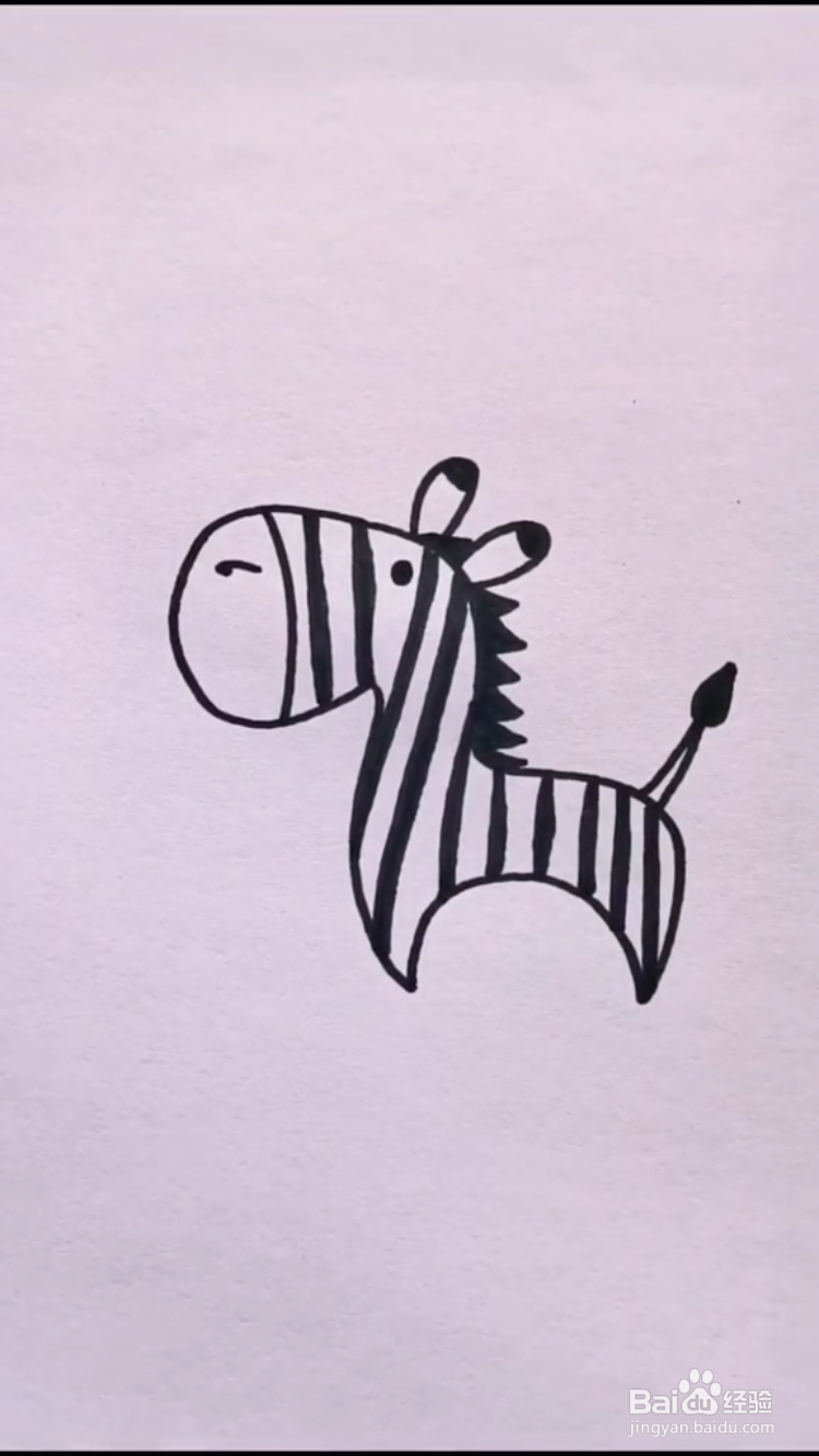 斑马简笔画 铅笔图片