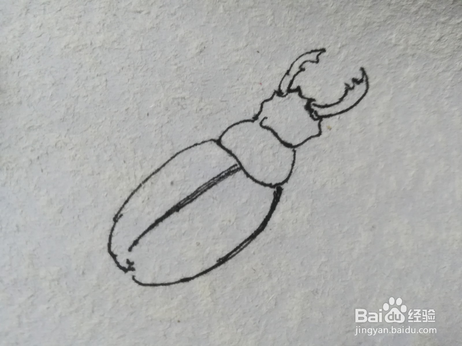 怎么画钬甲线描简笔画