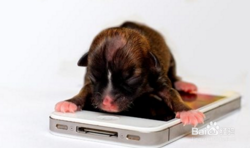 狗万-(代理如何申请申请成功)