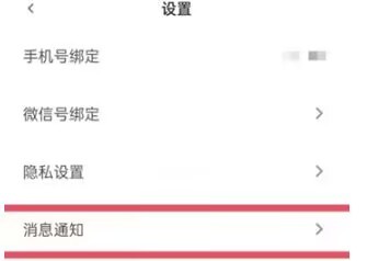 青藤之恋怎么开启动态消息