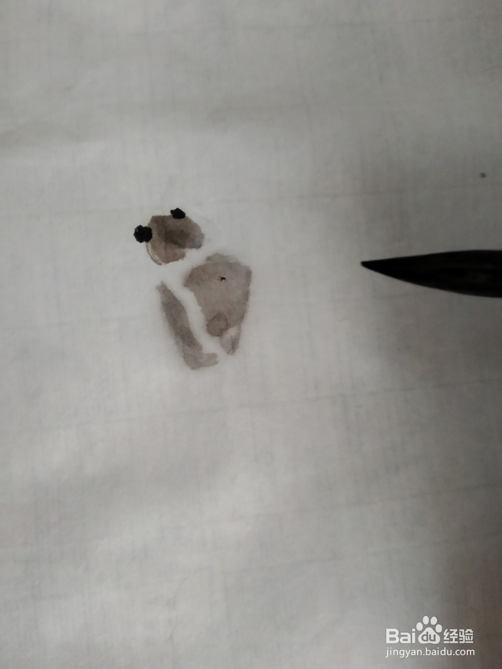 水墨蜘蛛的画法。