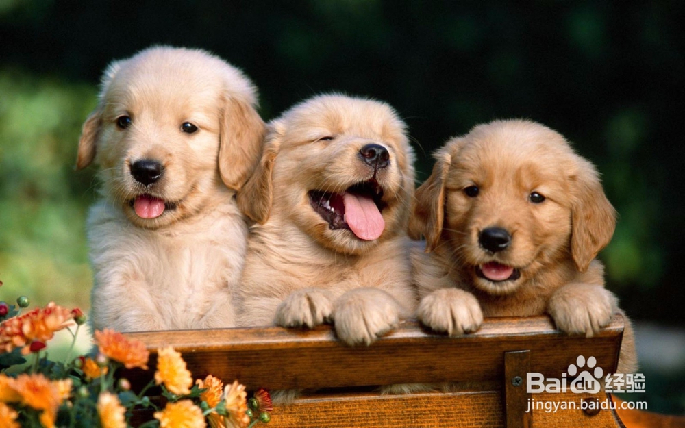 KTV中带动气氛的歌曲有哪些