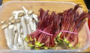 教你怎么做香椿蚝油拼蟹味菇