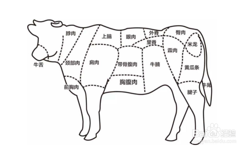 宠物狗掉毛怎么办,亲测有效