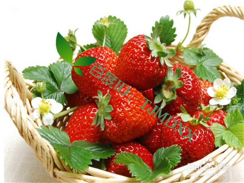 怎么挑选安全的草莓及正确清洗方法