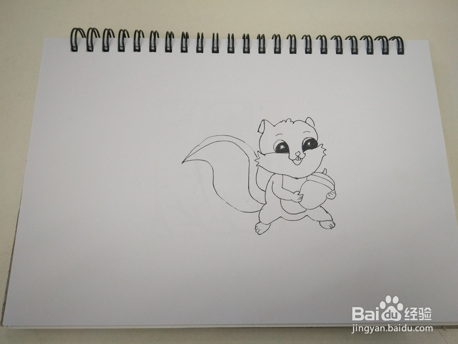简笔画小松鼠