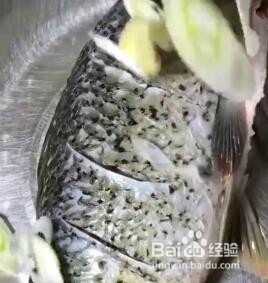 如何做红烧鱼？