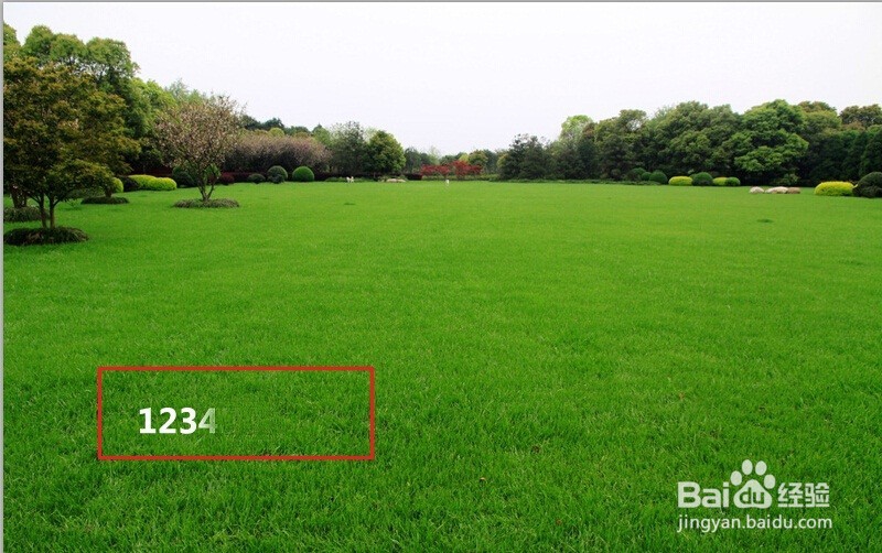 各种不同的去水印的方法