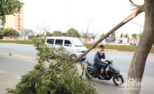 台风来了怎么办？