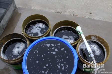 四季海棠家庭养殖注意事项