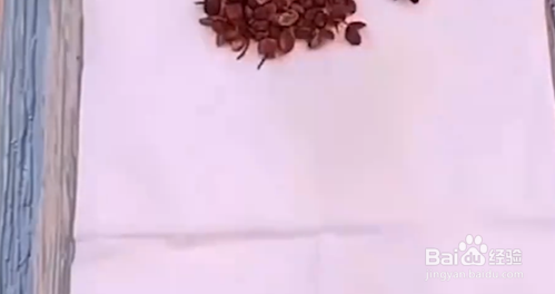 大米生虫了怎么办?教你一个小妙招