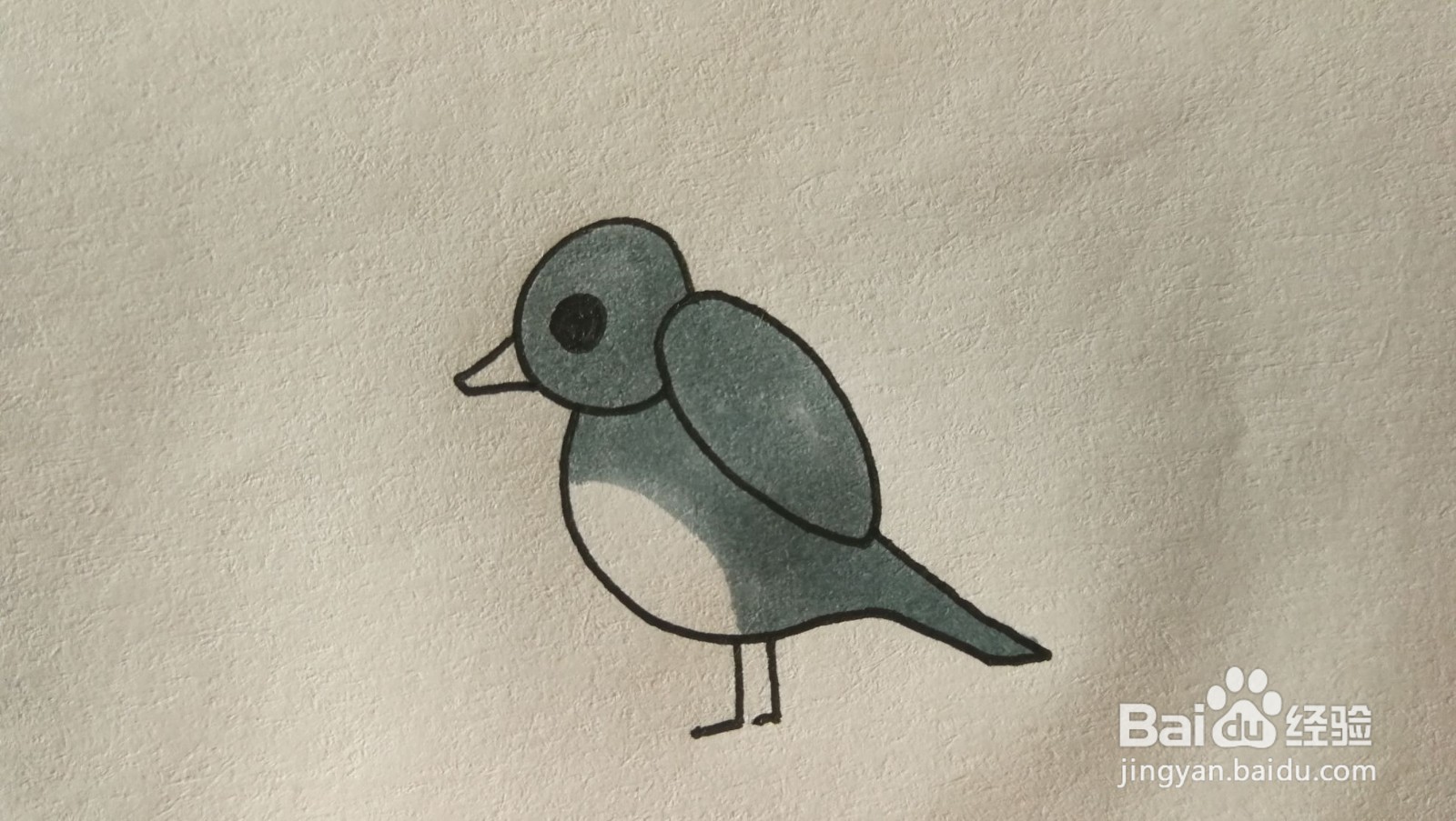 #经验分享官#小鸟简笔画