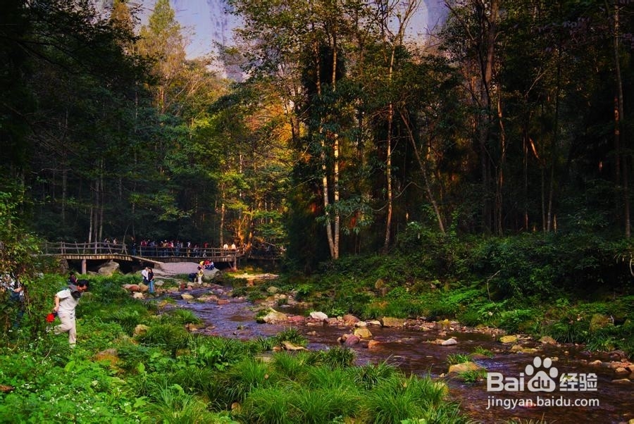 佛山到张家界旅游攻略