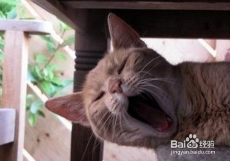 失眠如何调理好？