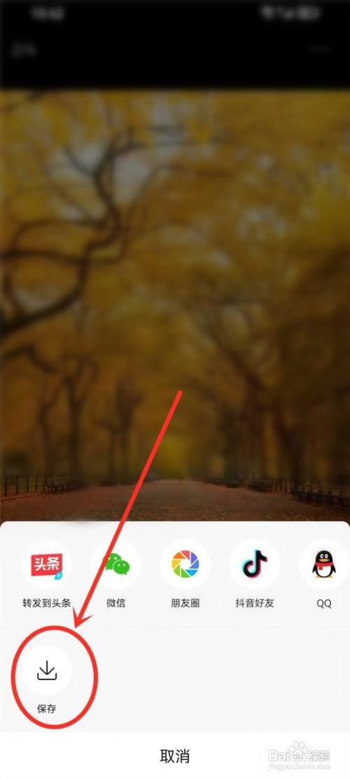 如何使用今日头条极速版APP保存动态图片？