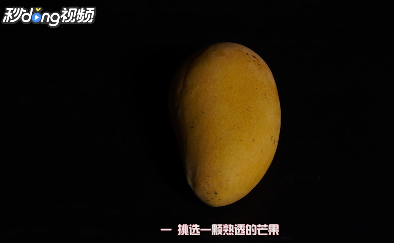 如何栽种芒果种子小盆栽