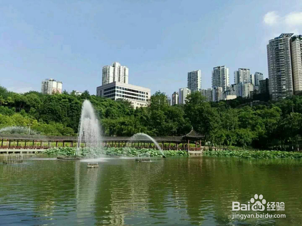 <b>龙头寺公园不仅风景美、空气新鲜、还免门票</b>