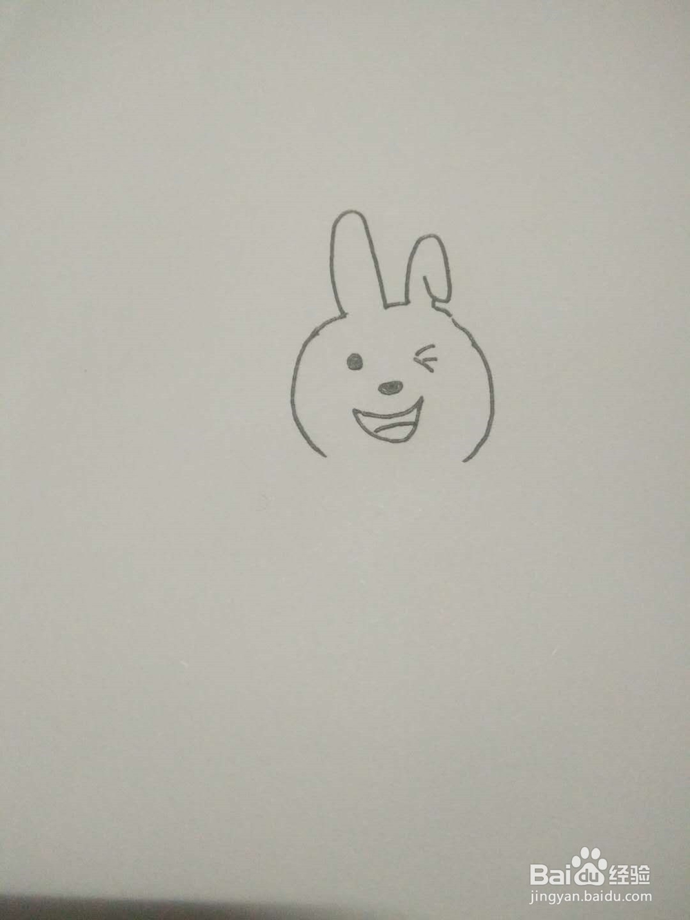 简笔画--小兔子~