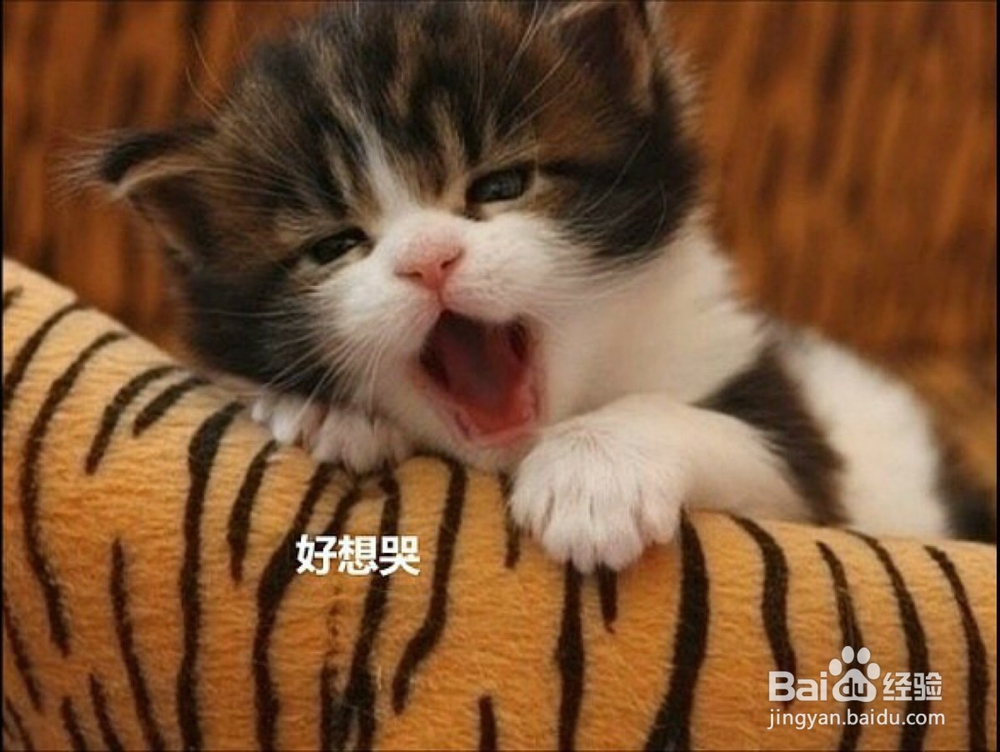 相处之道，朋友！