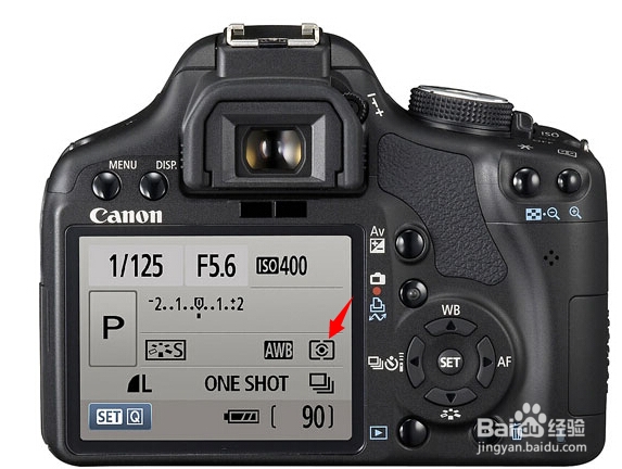 如何拍出背景虚化的特写照片