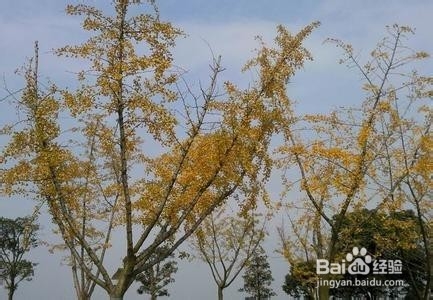 <b>秋冬季节减肥需要注意几点</b>