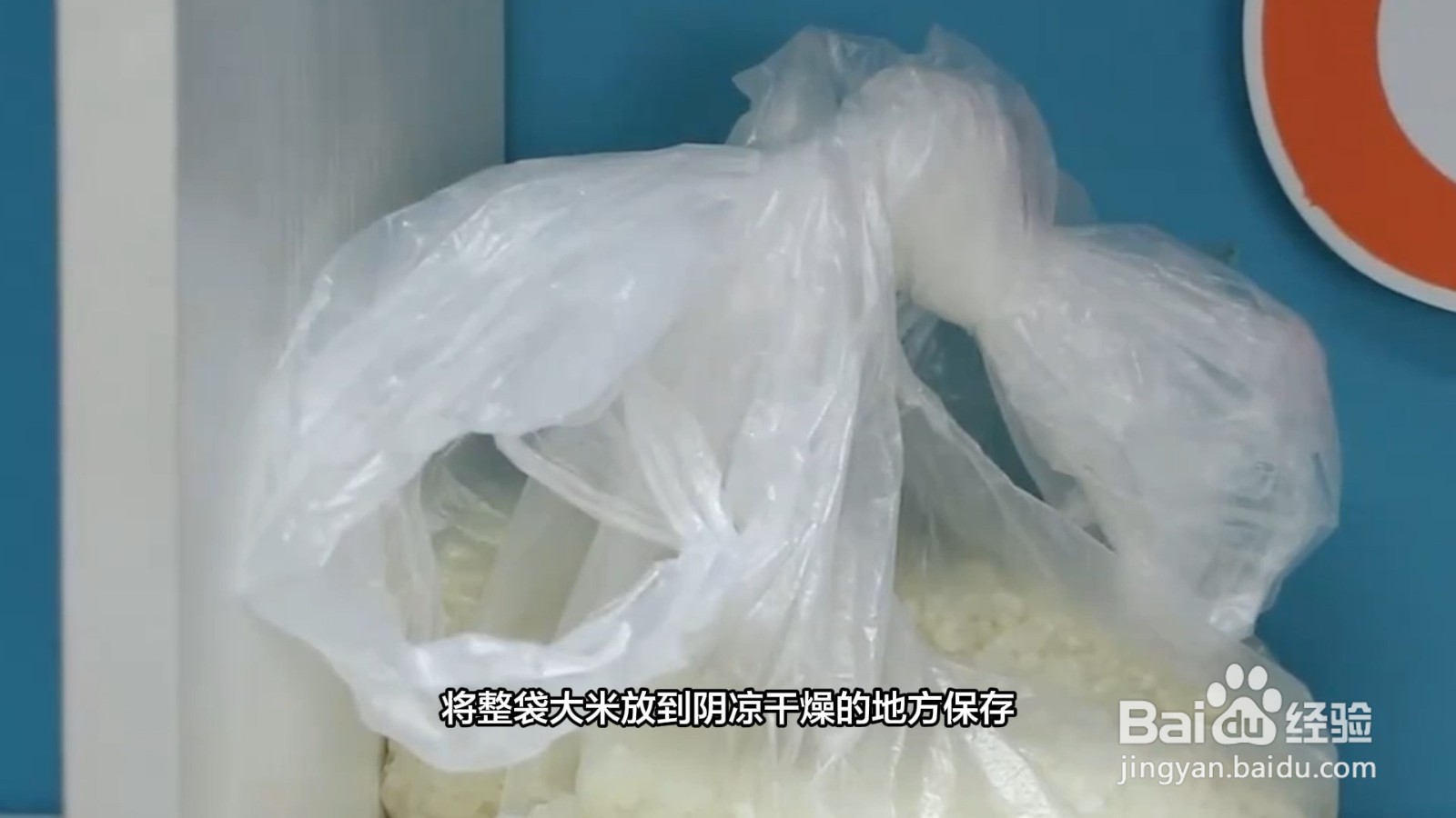 米怎么存放不生虫子