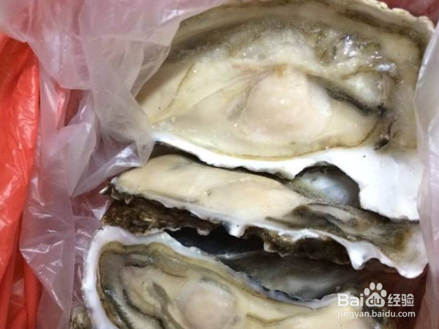 泡沫箱生蚝是冷冻还是冷藏