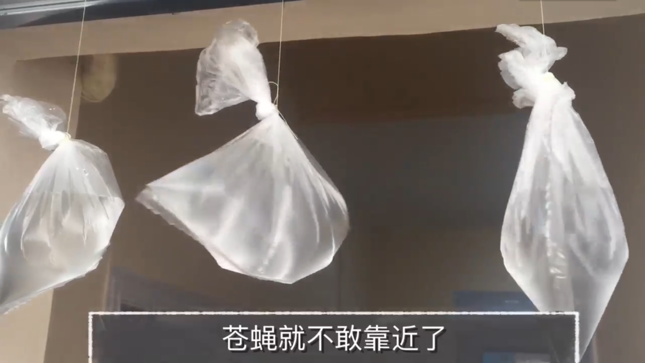 如何自制赶苍蝇神器