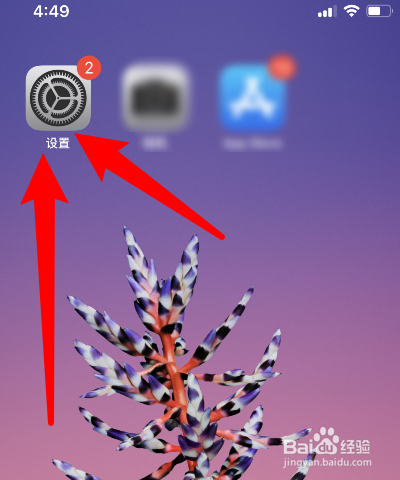 苹果手机怎样设置引导式访问密码