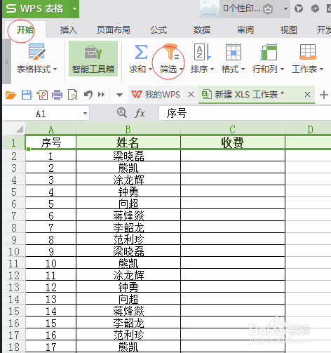 WPS表格中怎么运用筛选工具