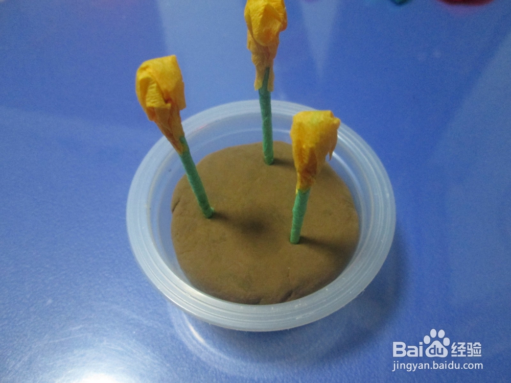 果冻盒子制作漂亮的小盆栽