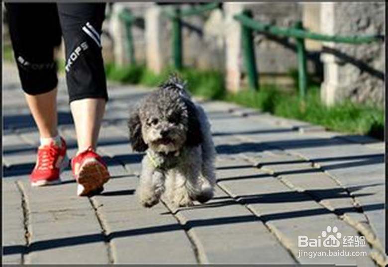 夏季正确养生的九个方法