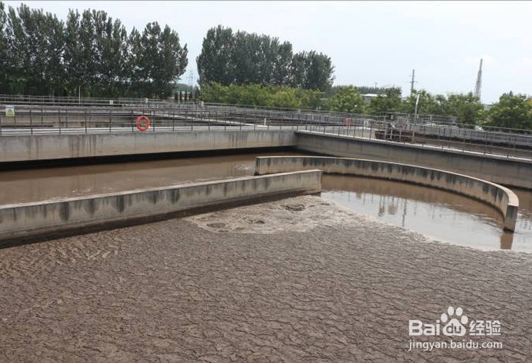 德丰生物污水处理复合细菌的使用方法？