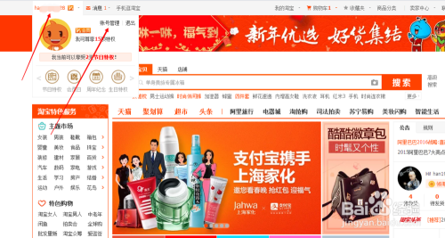 支付宝 淘宝 密码统一_淘宝支付宝密码一样_密码统一支付淘宝宝贝怎么用