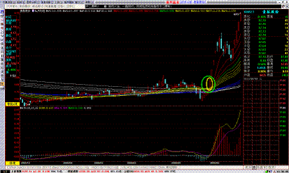 怎样才能在牛市中找出黑马股