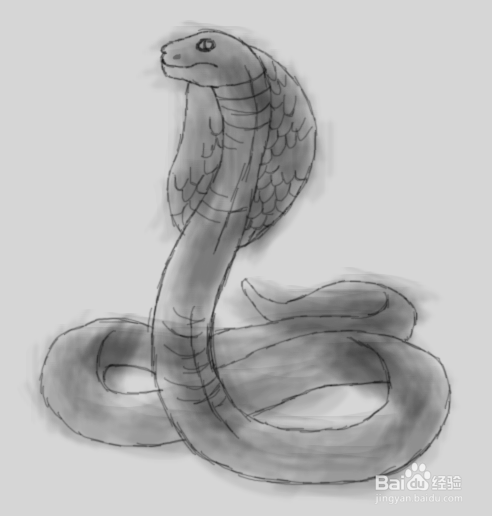 用素描画眼镜蛇的所有教程