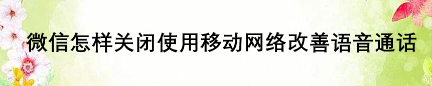 <b>微信怎样关闭使用移动网络改善语音通话</b>