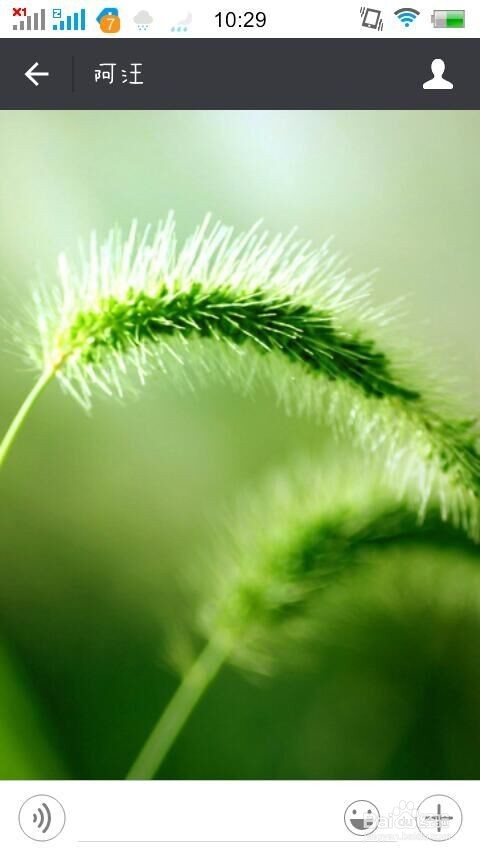 微信聊天怎么护眼