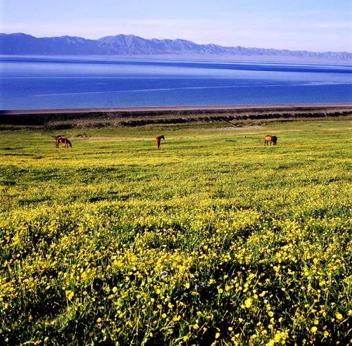 新疆摄影创作之摄影线路篇