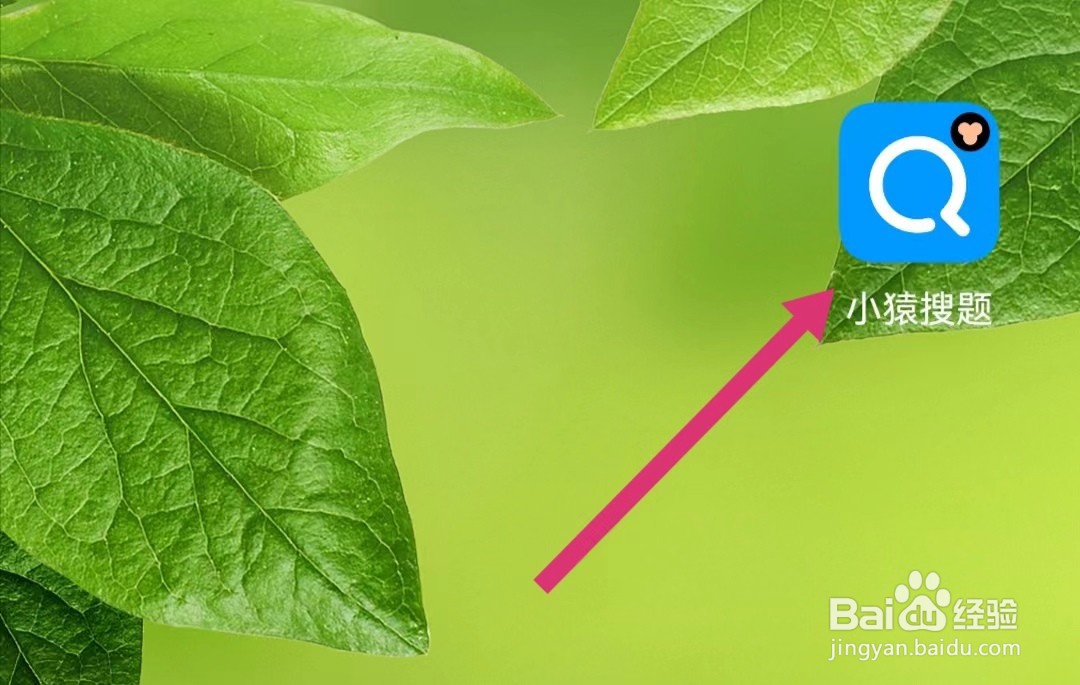 小猿搜题APP里面我的课程在哪里查看？