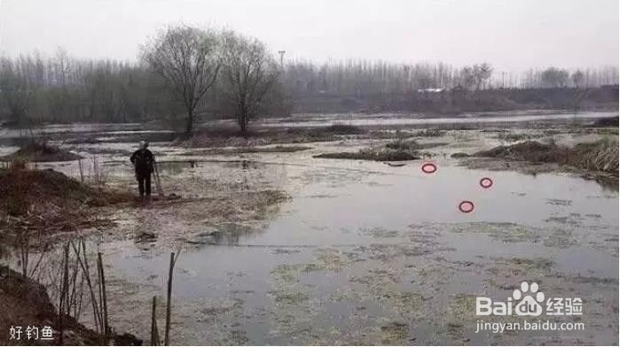如何选钓位、找鱼道？图解