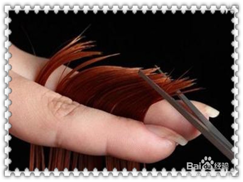 头发总是分岔应该怎么解决?