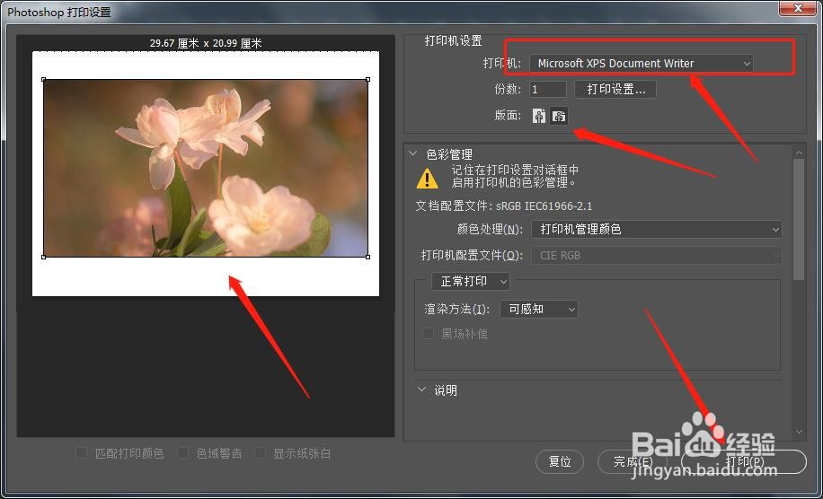 如何在PS中将花朵的图片打印在一张A4纸上