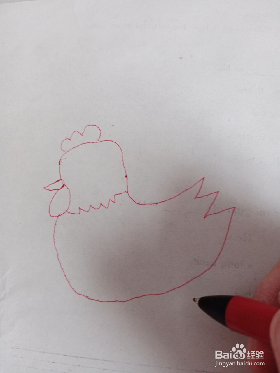 大公鸡的简笔画