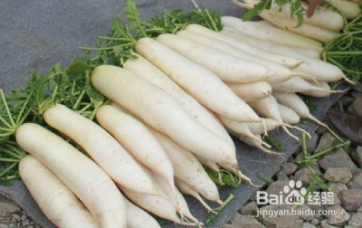 适合煲汤的几种食品