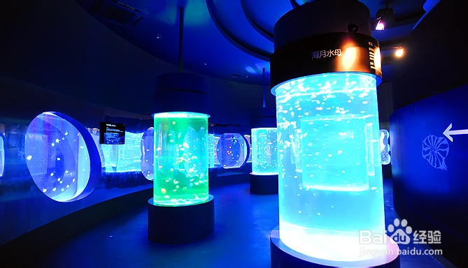 东部华侨城一日游游玩攻略