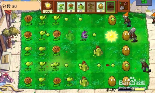 植2无尽植物实用推荐