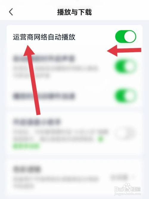爱奇艺如何关闭运营商网络自动播放