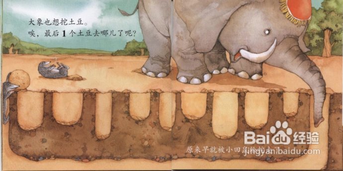 家有小宝,快乐认知--《幼儿双语绘本》
