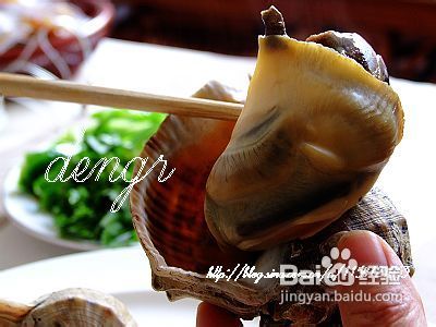 海螺的具体做法